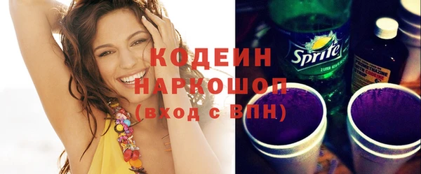 шишки Елизово