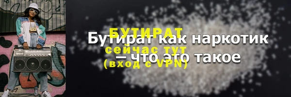 твердый Долгопрудный