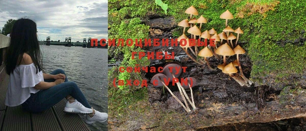 дистиллят марихуана Дмитриев