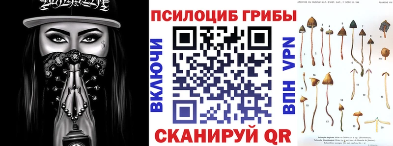 купить наркотики сайты  Каргополь  кракен вход  Псилоцибиновые грибы прущие грибы 