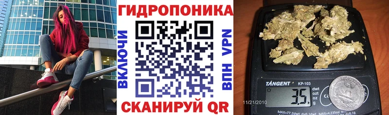 Бошки Шишки OG Kush  Каргополь 